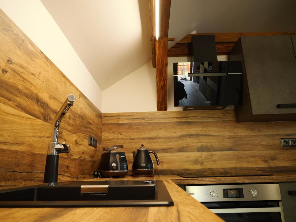 Apartment Danuse Ceska Lipa
