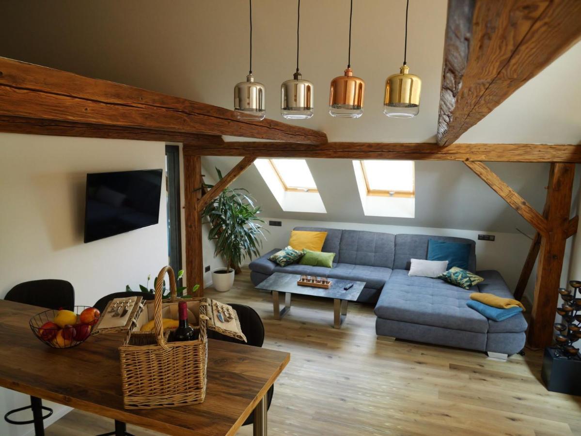 Apartment Danuse Ceska Lipa