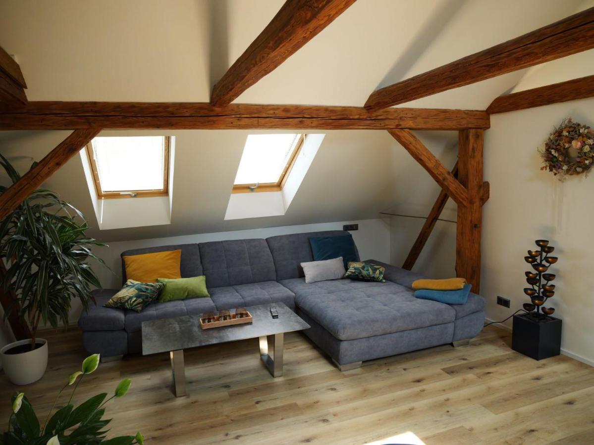 Danuse Apartment Ceska Lipa